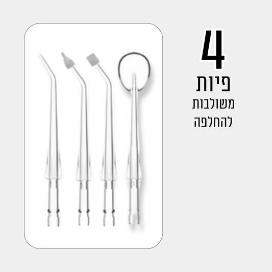 פיות משולבות להחלפה